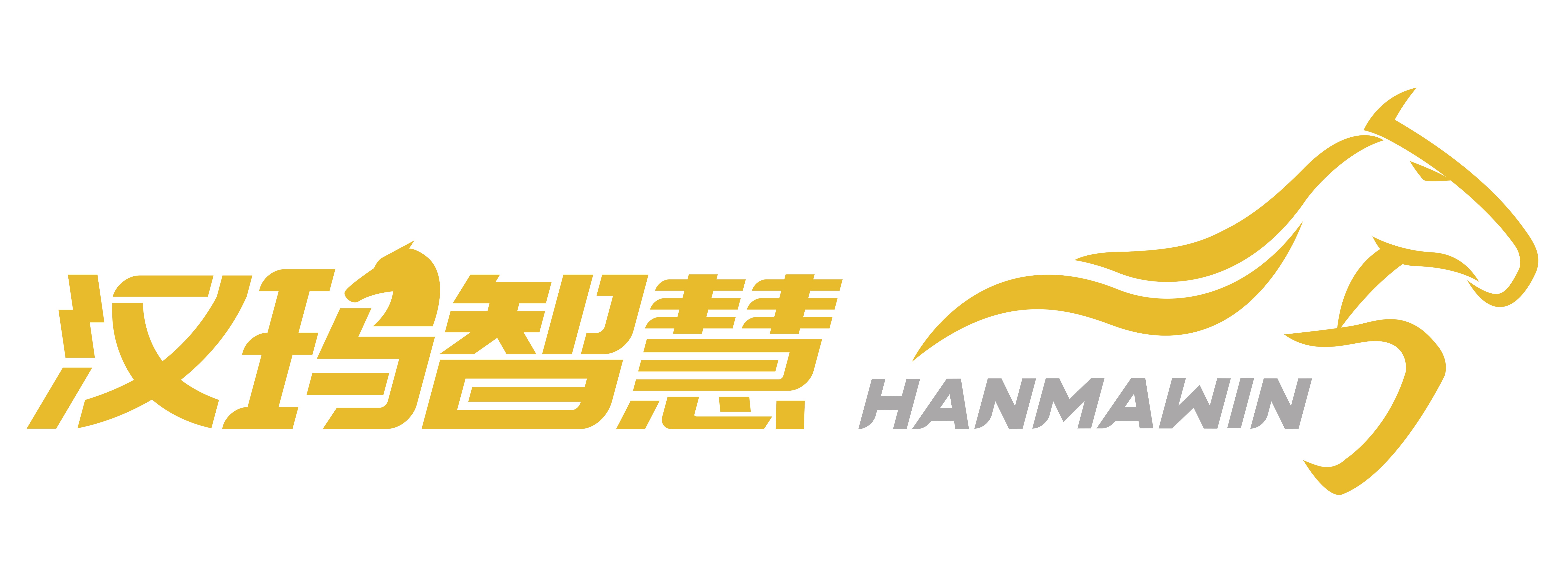 汉玛智慧logo-1(1).jpg 汉玛智慧logo-1(1).jpg